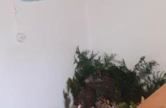 Casa da Fonte - Photo 26