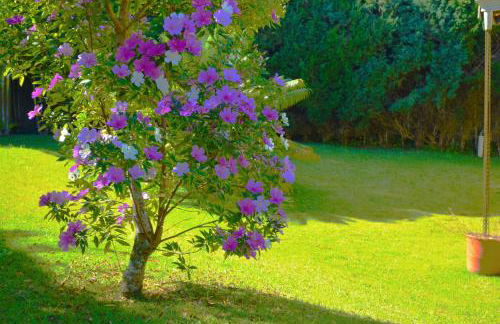 Chácara condomínio perto de SP - Foto 26