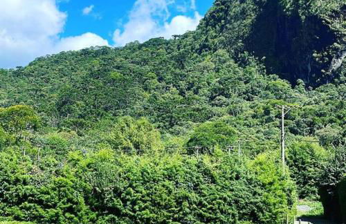 Chalé Floresta Mauá - Foto 19