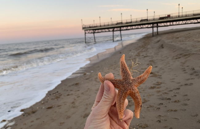 Beachside Home - Sleeps 5, Garden, Parking & Pets - Foto 22