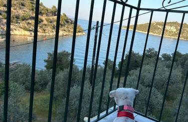 Mikro Amoni Beach Villa - Foto 29