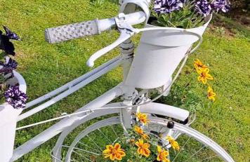 Apartmani Habibi - Foto 36