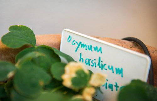 Agrilos Sea View House - Foto 31