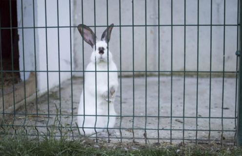 APARTAMENTOS LA COTERA - BARRIO DE ARRIBA segunda entrada 2 - Foto 57