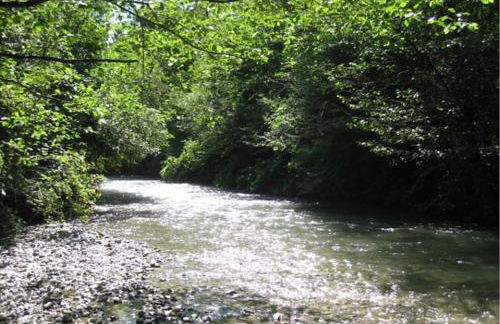 Escale Ugine - Foto 39