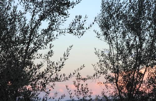 Residence a Licetta - Foto 29