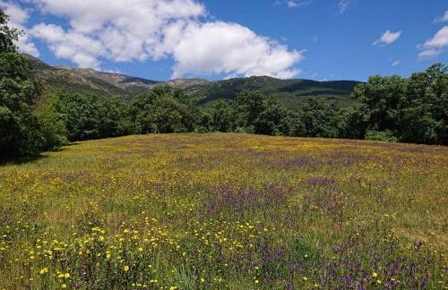 Casa Pozo Tarama - Foto 13