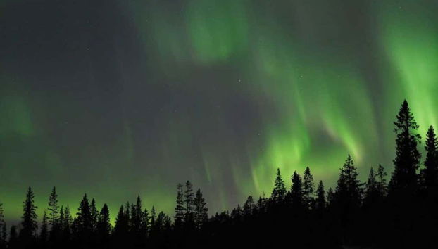 Luleå Northern Lights Tour - Foto 4