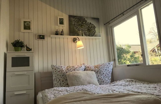 Hein Muck Modern Retreat - Photo 4