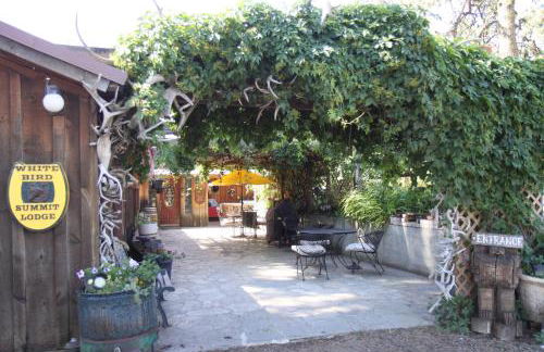 Whitebird Summit 5- room Lodge - Foto 15