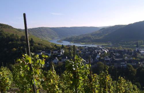 Weingut Matthias Dauns - Foto 34