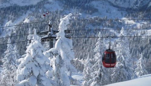 Ferienwohnungen Ortner-Hof inkl. Chiemgaukarte - Foto 4