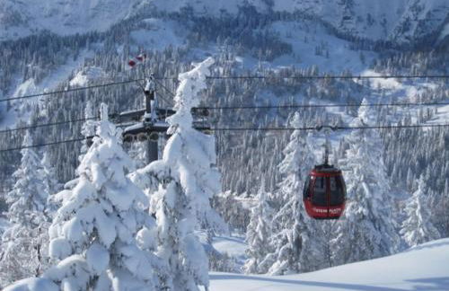Ferienwohnungen Ortner-Hof inkl. Chiemgaukarte - Foto 4