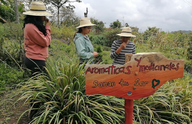Tierra Activa Organic Farm and Agro-tourism San Agustin - Foto 26