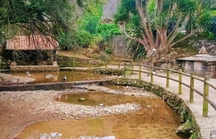 Apartamentos la buganvilla Novales - Foto 15