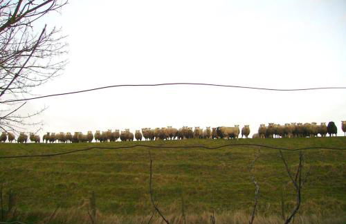 Ferienwohnung Lumme - Foto 9