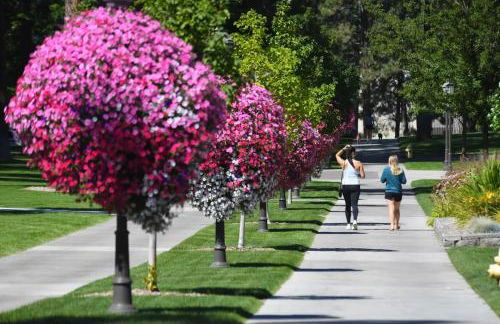 Light Bright Stylish PRIVATE Home - Whitworth - Foto 36