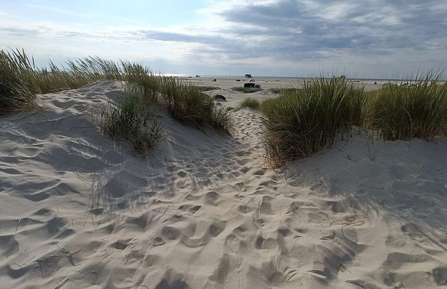 Aalernhus Residenzen in St.peter-ording - Photo 31