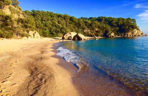 Private Apartments Cala Canyelles - Foto 1