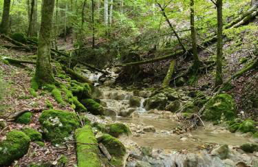 Grande maison savoyarde ensoleillée - Foto 18