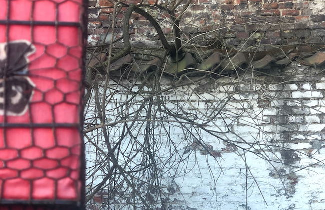 Agelandkaai.be - Photo 62