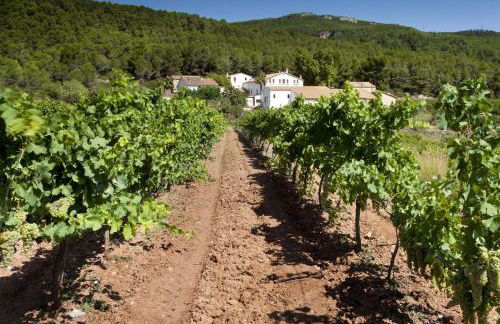 Finca Can Romeu: alojamiento rural entre viñedos - Foto 1