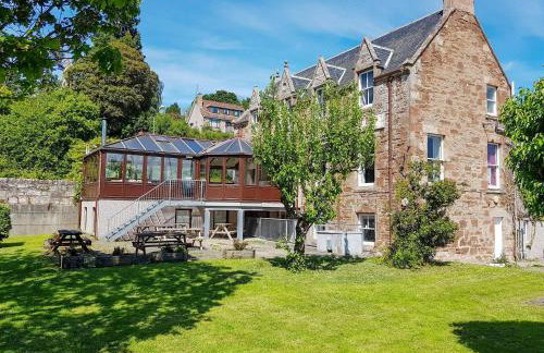 The Red Kite - Uk31003 - Foto 1