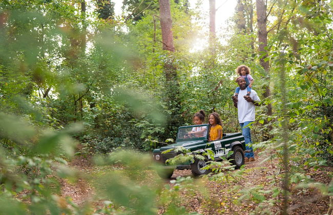 Sunparks Kempense Meren - Foto 36