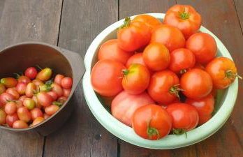 Górska Polana, Stronie Śląskie - Młynowiec - Foto 33