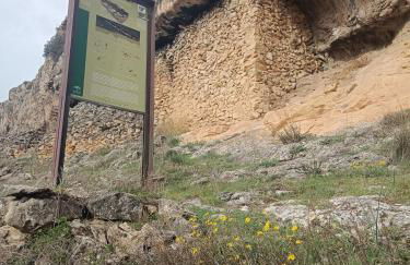 Xenia Alojamientos - Foto 54