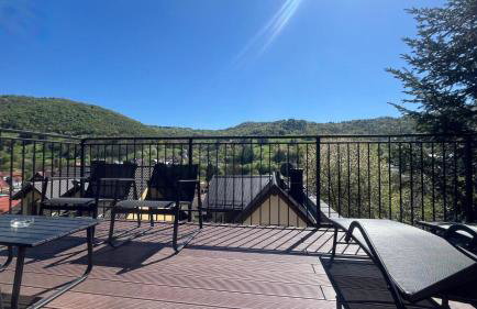 Domki Pienińskie Tarasy - Photo 76