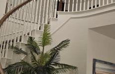 Pink Flamingo Resort - Foto 3