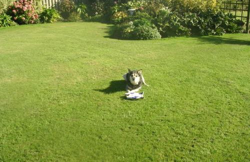 Coastal Garden Lodge - Foto 18