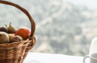 Quinta Vale das Papas - Foto 42