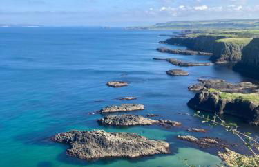 Mary McGill’s - Foto 24