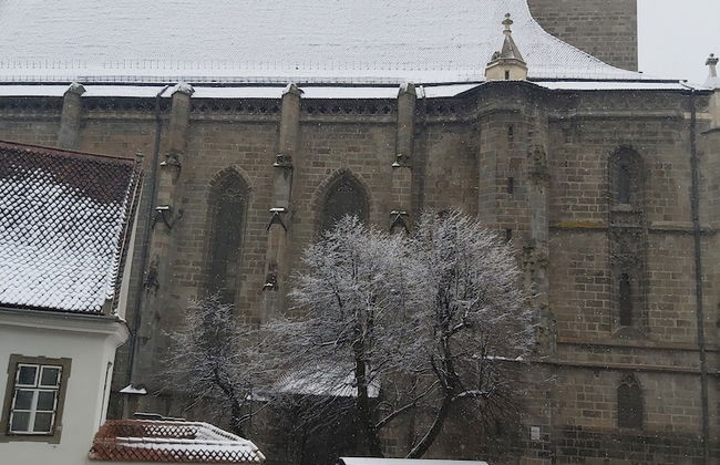 Mira Central Residence - Photo 39