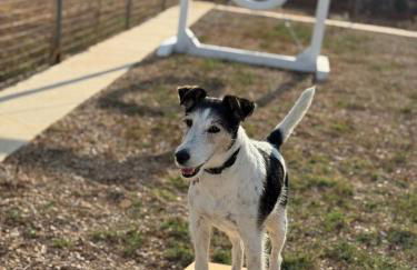 MASSERIA SCALEDDA - Foto 4