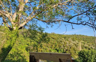 The Ambassador Residence - Traditional stone house - Foto 40