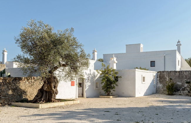 Masseria Stefanodelconte - Foto 22
