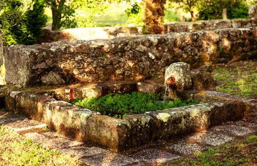 Bosque de Xarás, casa completa con encanto cerca de playa de Lapamán - Foto 6