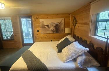 Bearly Behavin - Foto 28