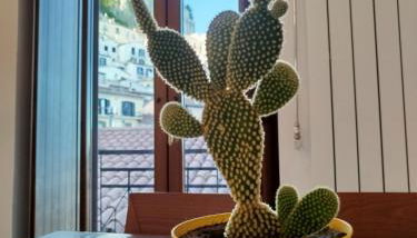 Casetta con VISTA CASTELLO e PARCHEGGIO COMODO - Foto 3