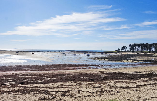 Men Er Bellec - Foto 23