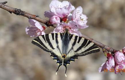Casa Rural La Liebre - Foto 21