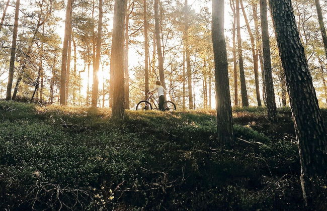 6 Person Holiday Home in Kopparberg-by Traum - Foto 14