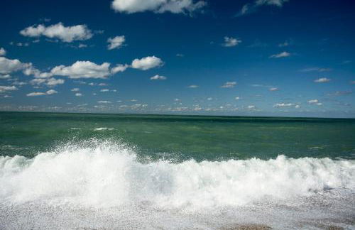 Les charmes Du Bosquet Parc d'Amour et Nature Parking Privé Sécurisé - Foto 26