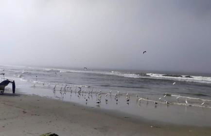 Apartamento perto do mar com garagem coberta em Praia de Leste - Foto 17