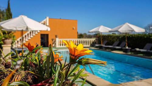 Villa Ses Porrasses by Sealand Villas - Photo 5, Garden, Garden view