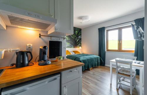 Apartamenty Black Lion - Foto 30