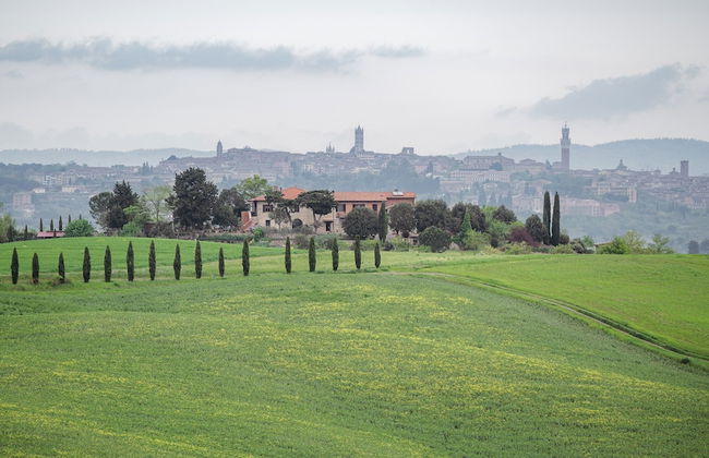 Santa Colomba House, Siena, Nature And Pool - Foto 46